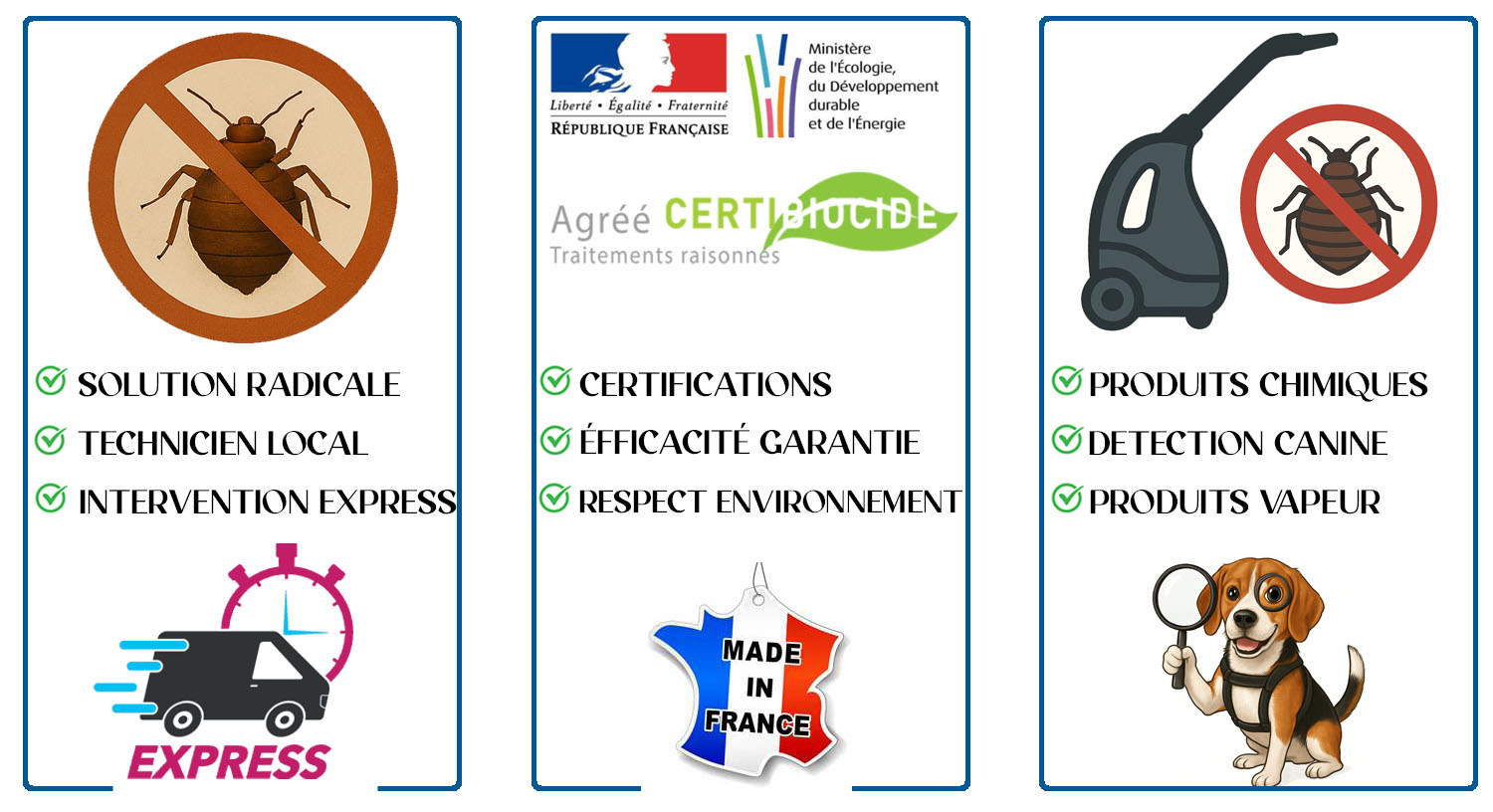 Punaises de Lit Puteaux